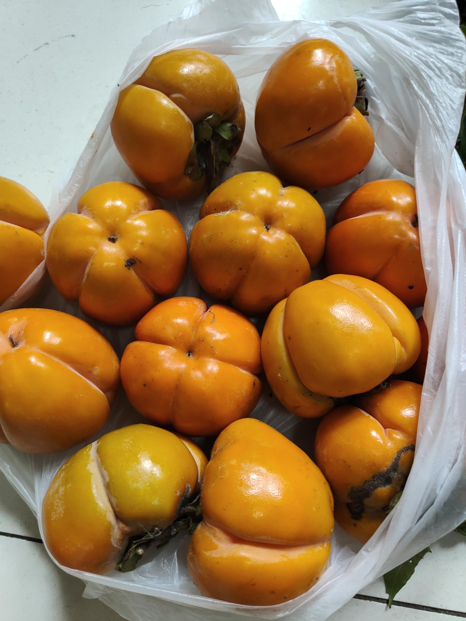 陈新‖老家固始：吃货的秋天(1) ——懒柿子的制作