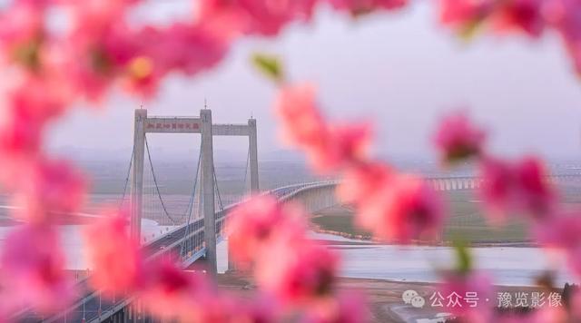 动物拍片腹部怎么摆阳春三月，去郑州这些地方赏桃花！_https://www.jmylbn.com_新闻资讯_第16张