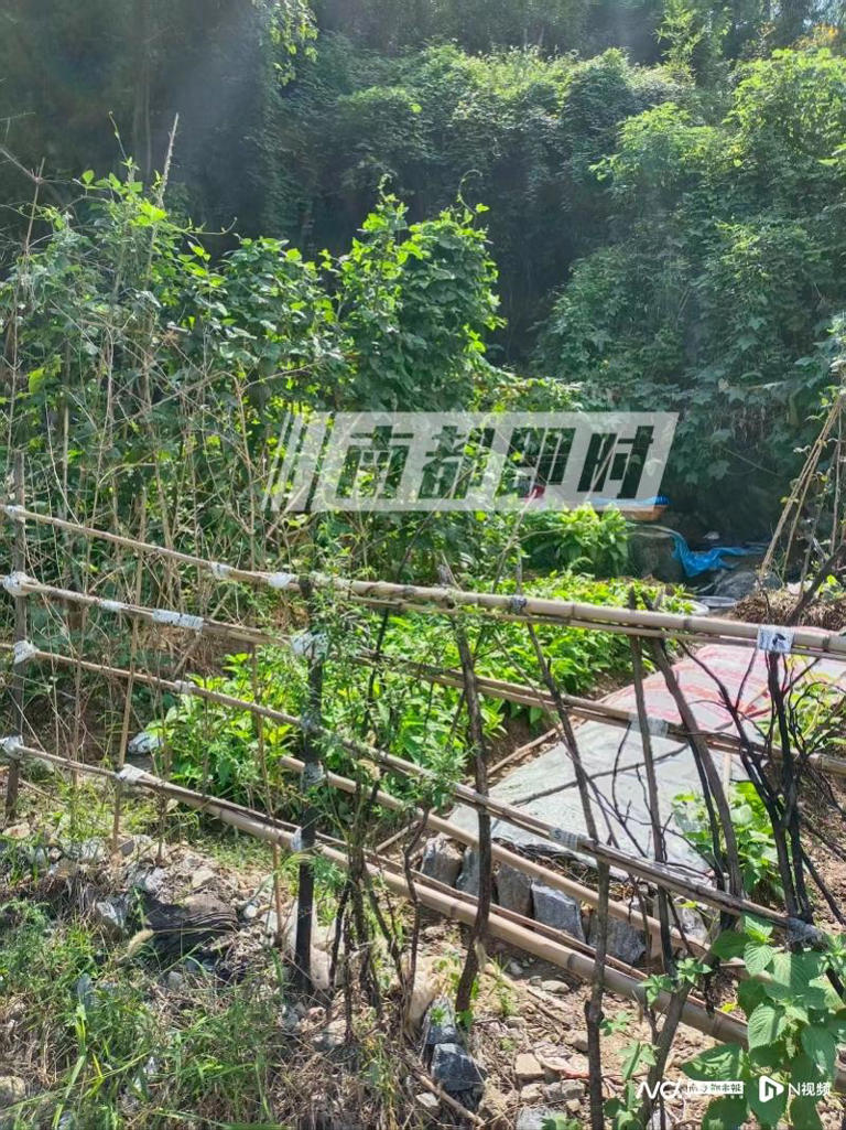 女子氫氟酸中毒.jpg