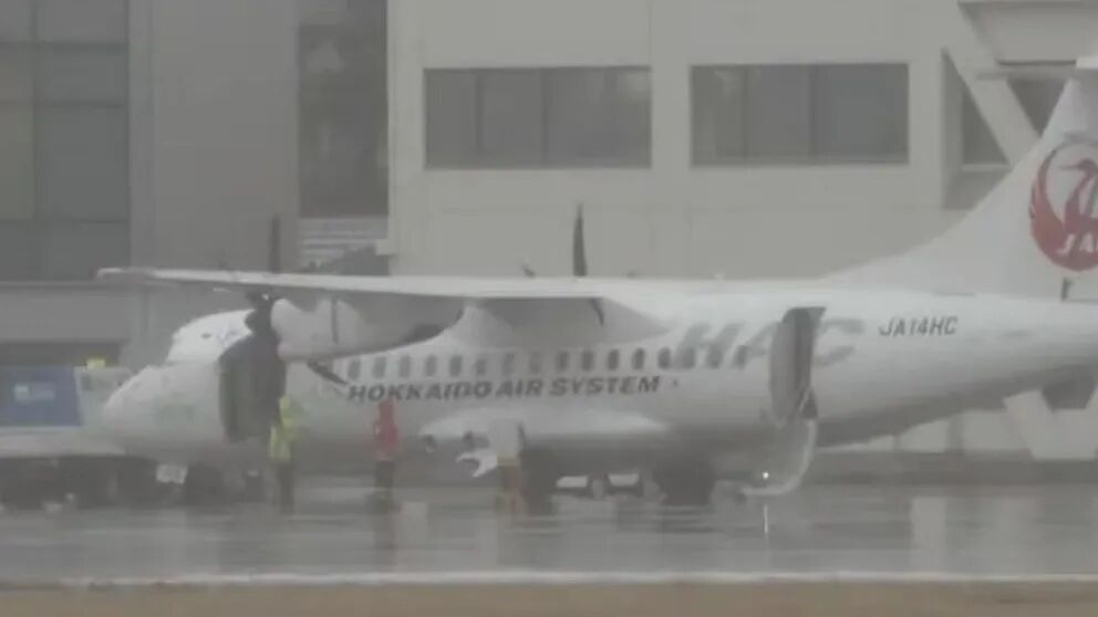 1765442643754.jpg 日本航班.jpg